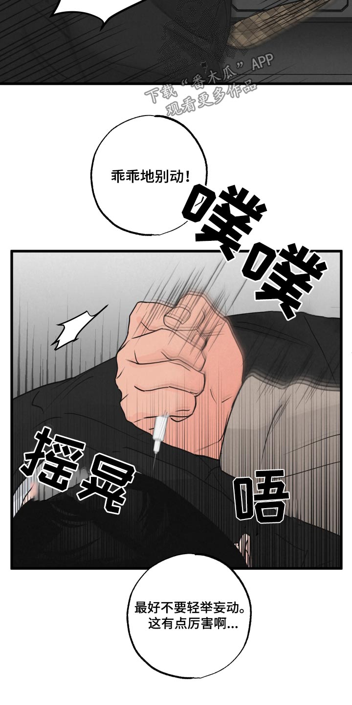 《热量狂飙》第30章车祸 第17页