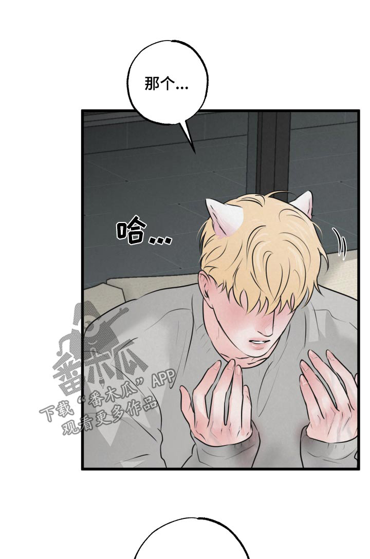 《热量狂飙》第26章结束 第1页
