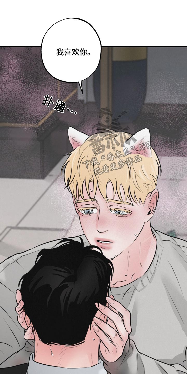 《热量狂飙》第26章结束 第22页