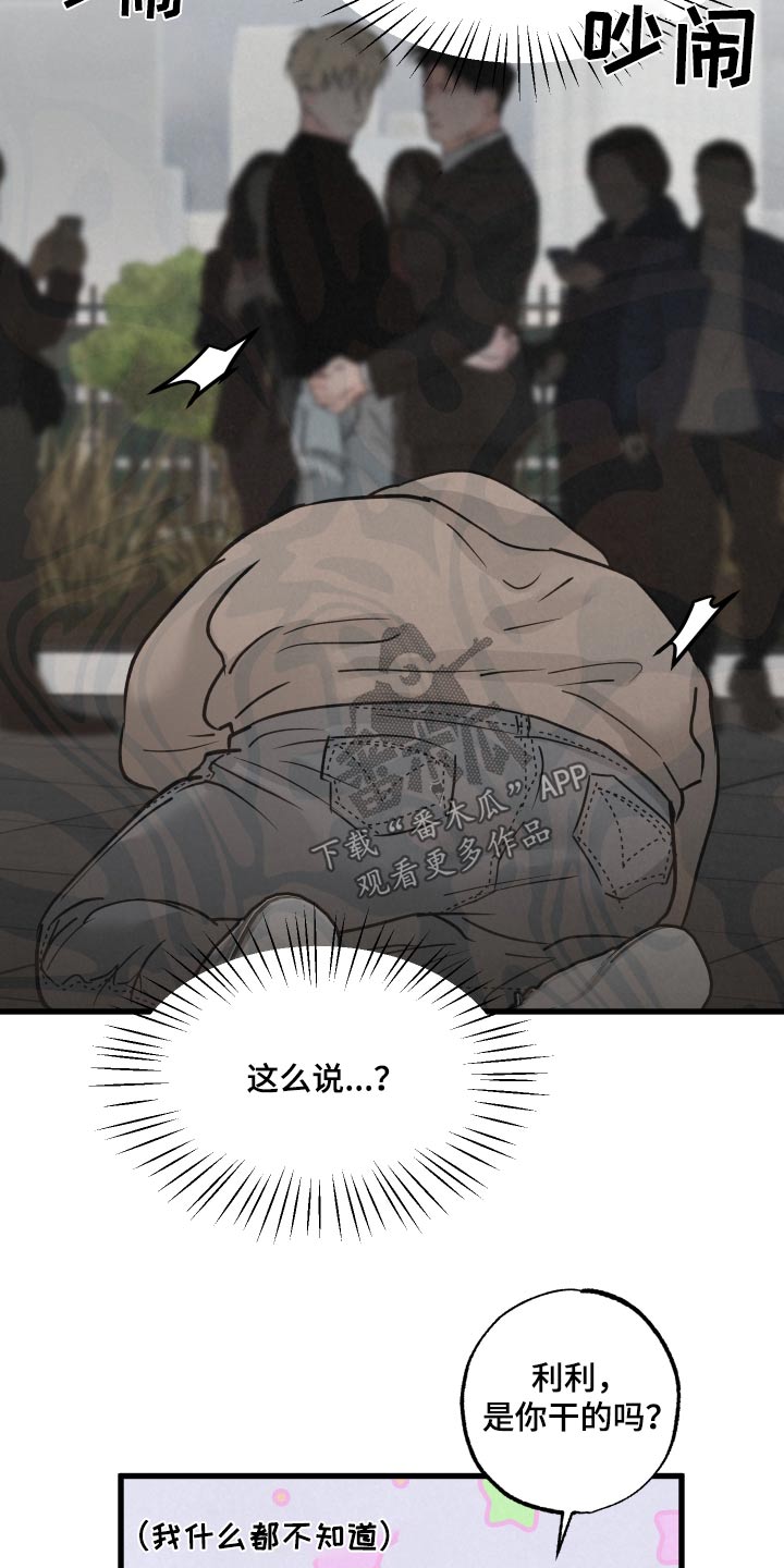 《热量狂飙》第34章什么关系 第2页