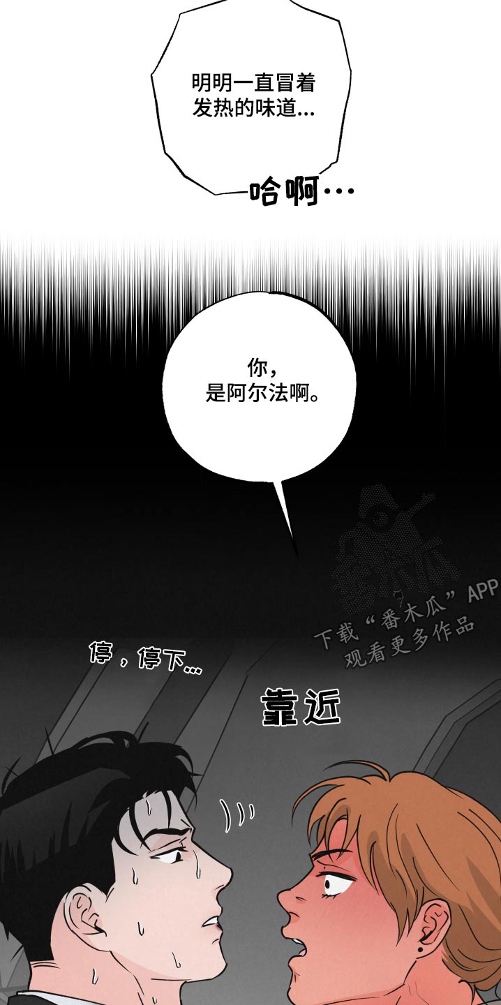 《热量狂飙》第31章抽血 第17页