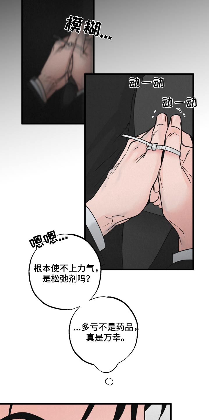 《热量狂飙》第31章抽血 第3页