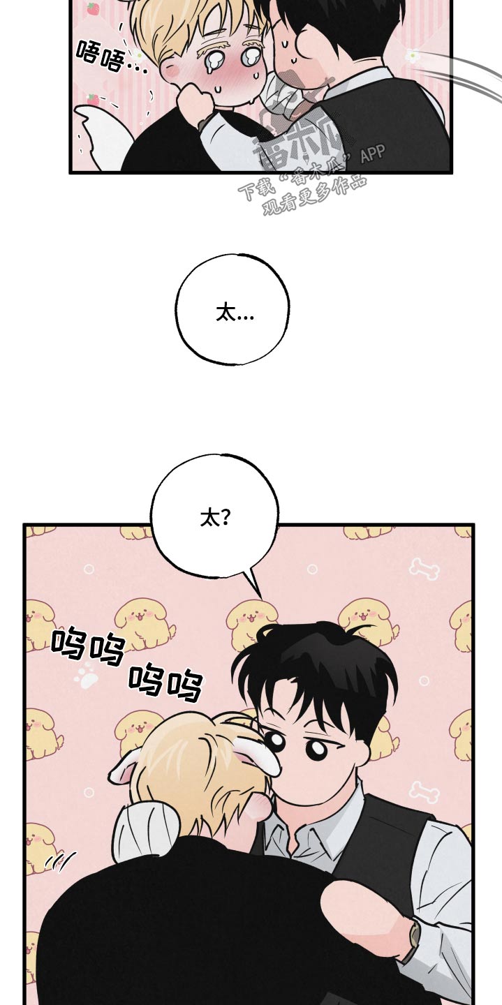 《热量狂飙》第36章你说什么 第12页