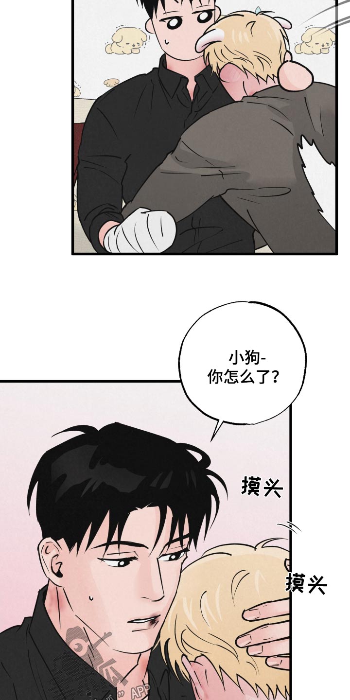 《热量狂飙》第40章谢谢你的建议 第14页