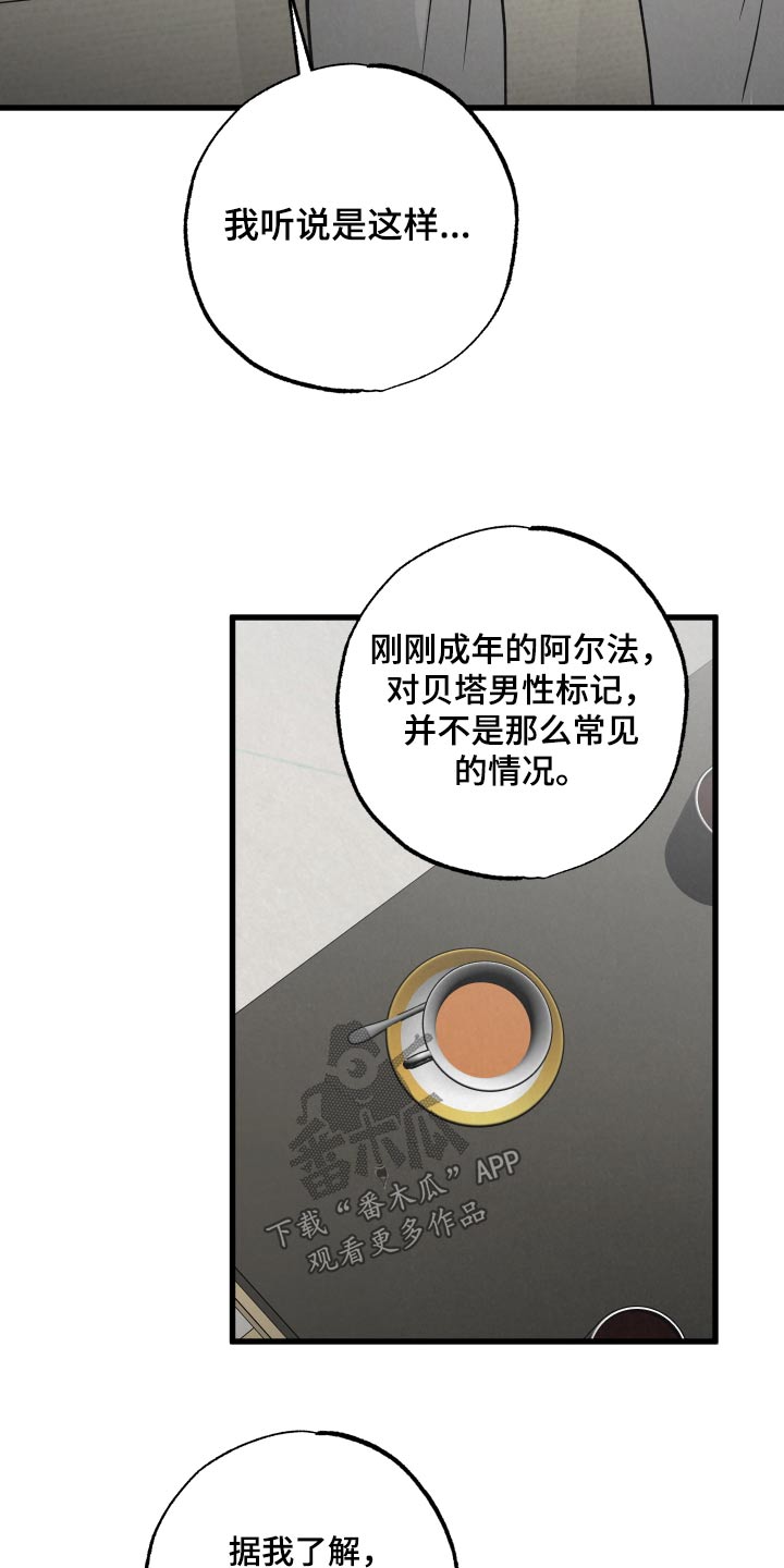 《热量狂飙》第40章谢谢你的建议 第2页