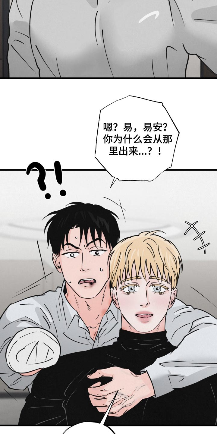 《热量狂飙》第39章一模一样 第5页