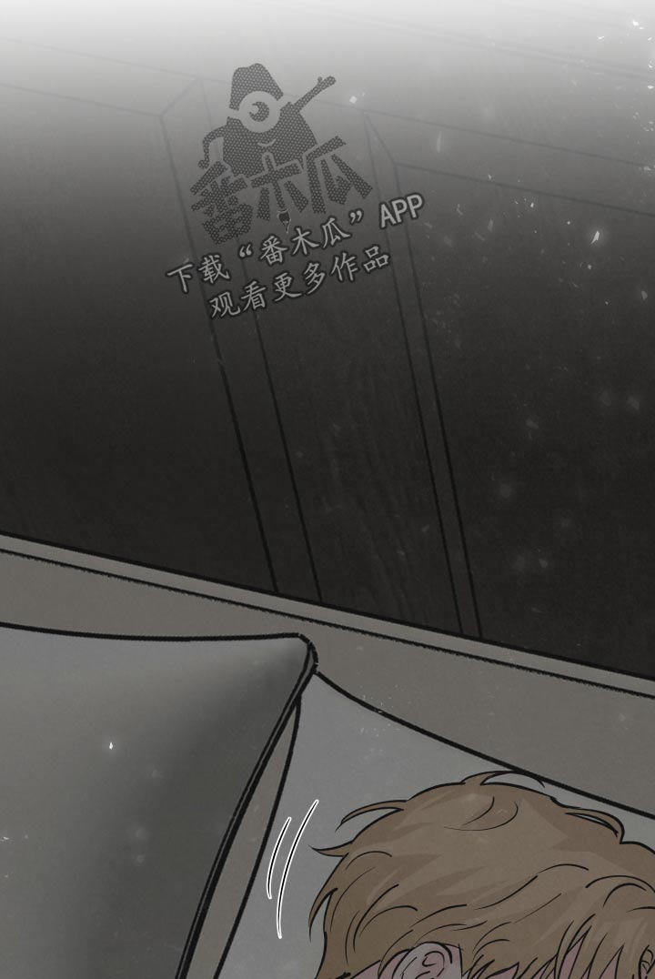 《热量狂飙》第43章散发 第12页
