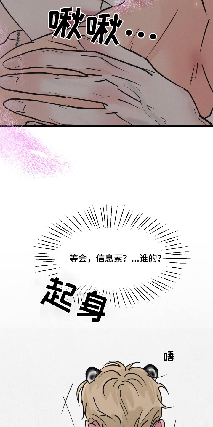 《热量狂飙》第43章散发 第15页