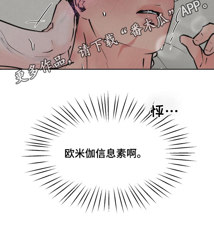 《热量狂飙》第43章散发 第19页