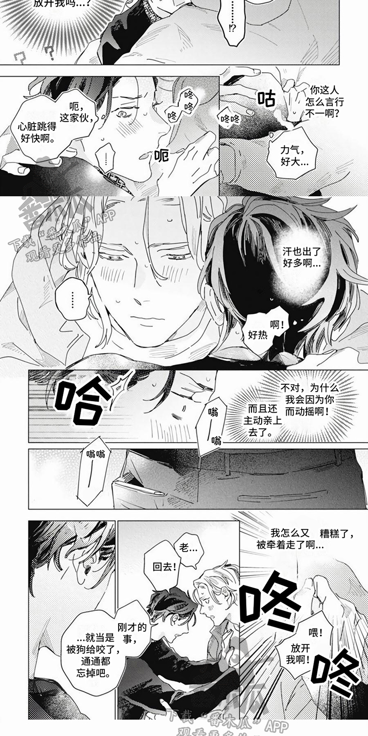 《回响的爱之声》第12章喜欢 第5页