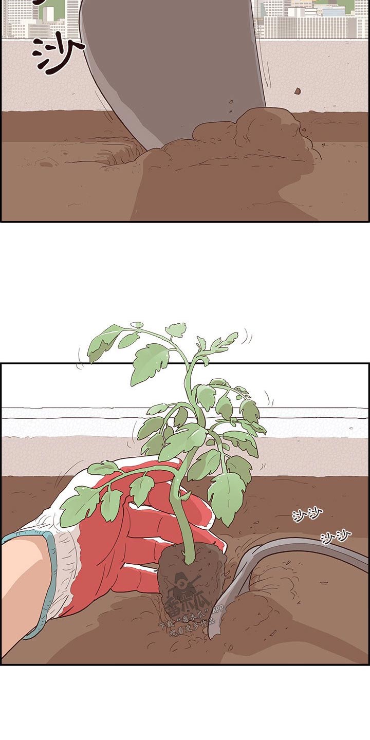 《原野爱李》第21章种植 第2页