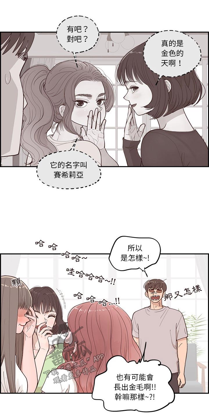 《原野爱李》第45章金色的 第8页