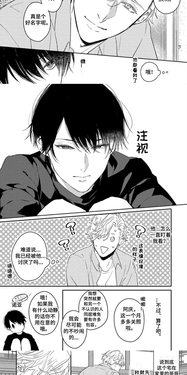 《恋爱深情》第2章想法 第5页