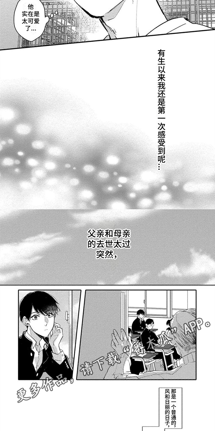 《恋爱深情》第7章冲动 第7页