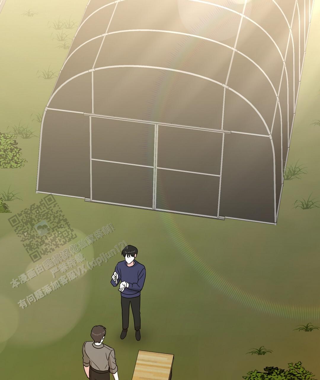 《特别节目》第4话 第39页