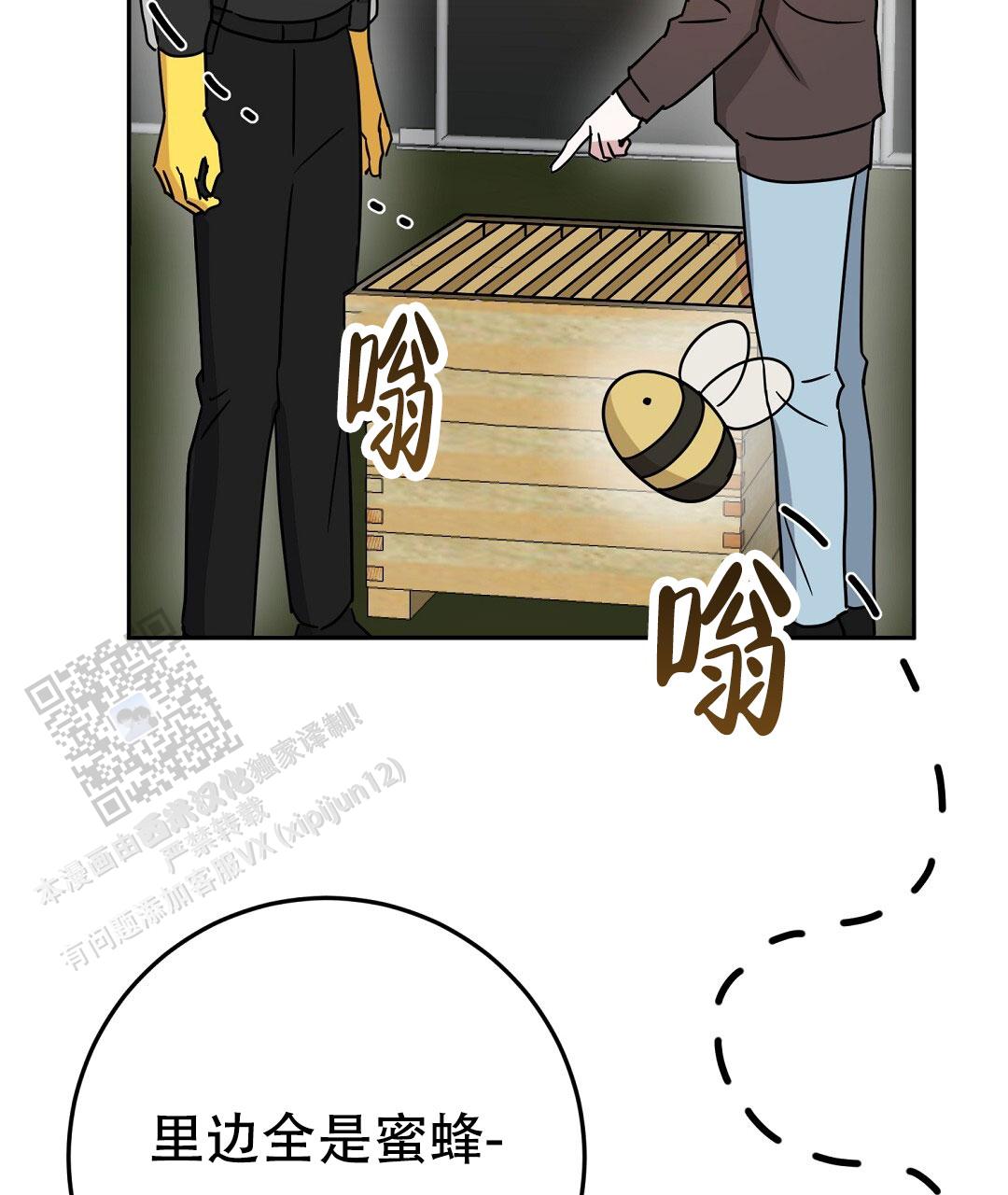 《特别节目》第5话 第11页
