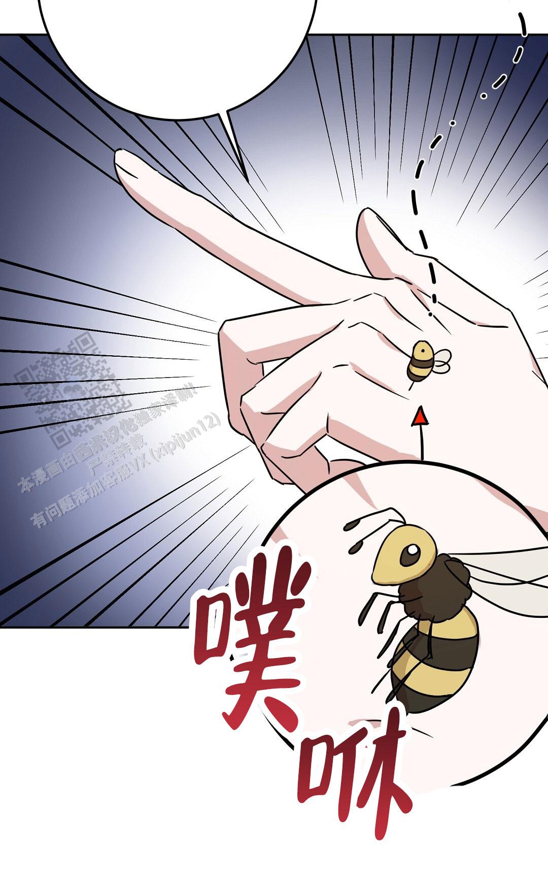 《特别节目》第5话 第12页