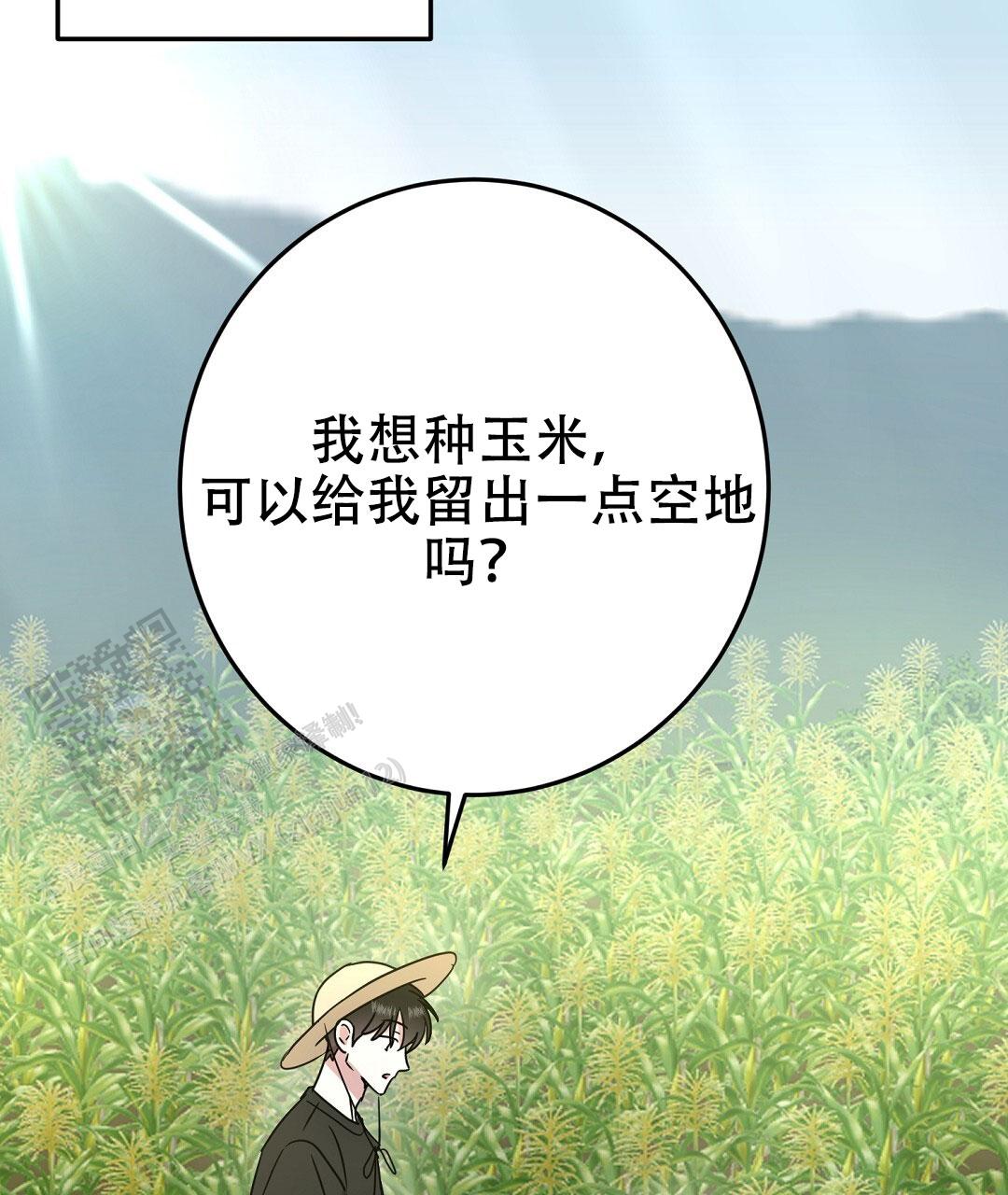 《特别节目》第9话 第15页
