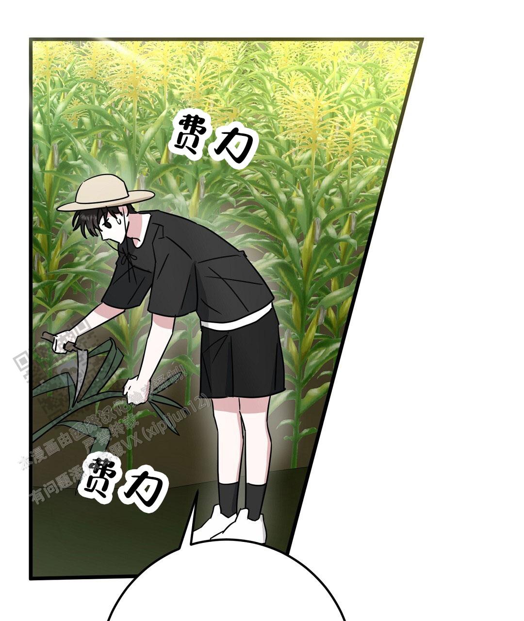 《特别节目》第9话 第18页