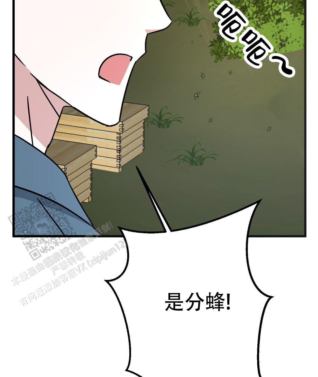 《特别节目》第17话 第11页