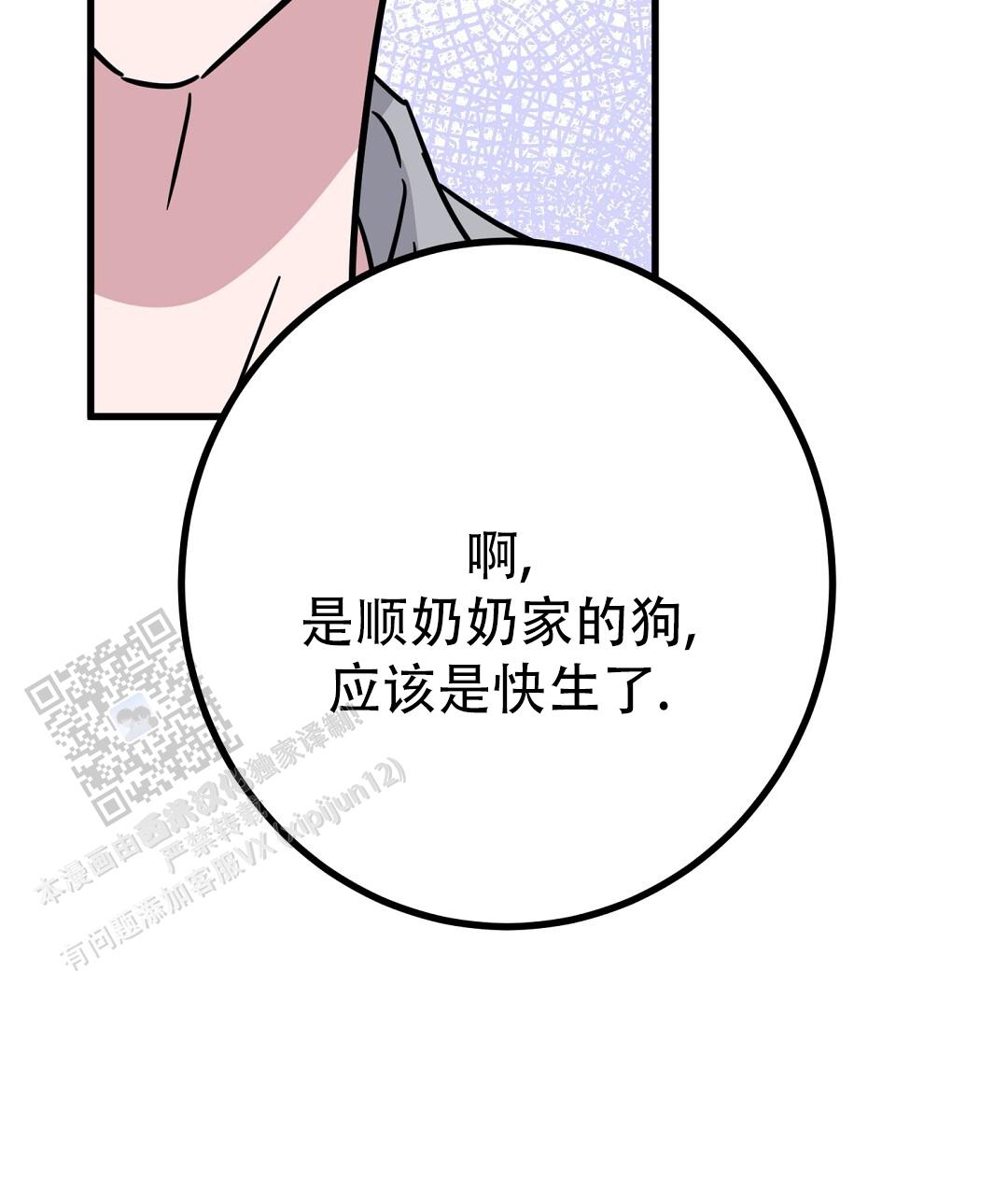 《特别节目》第21话 第17页