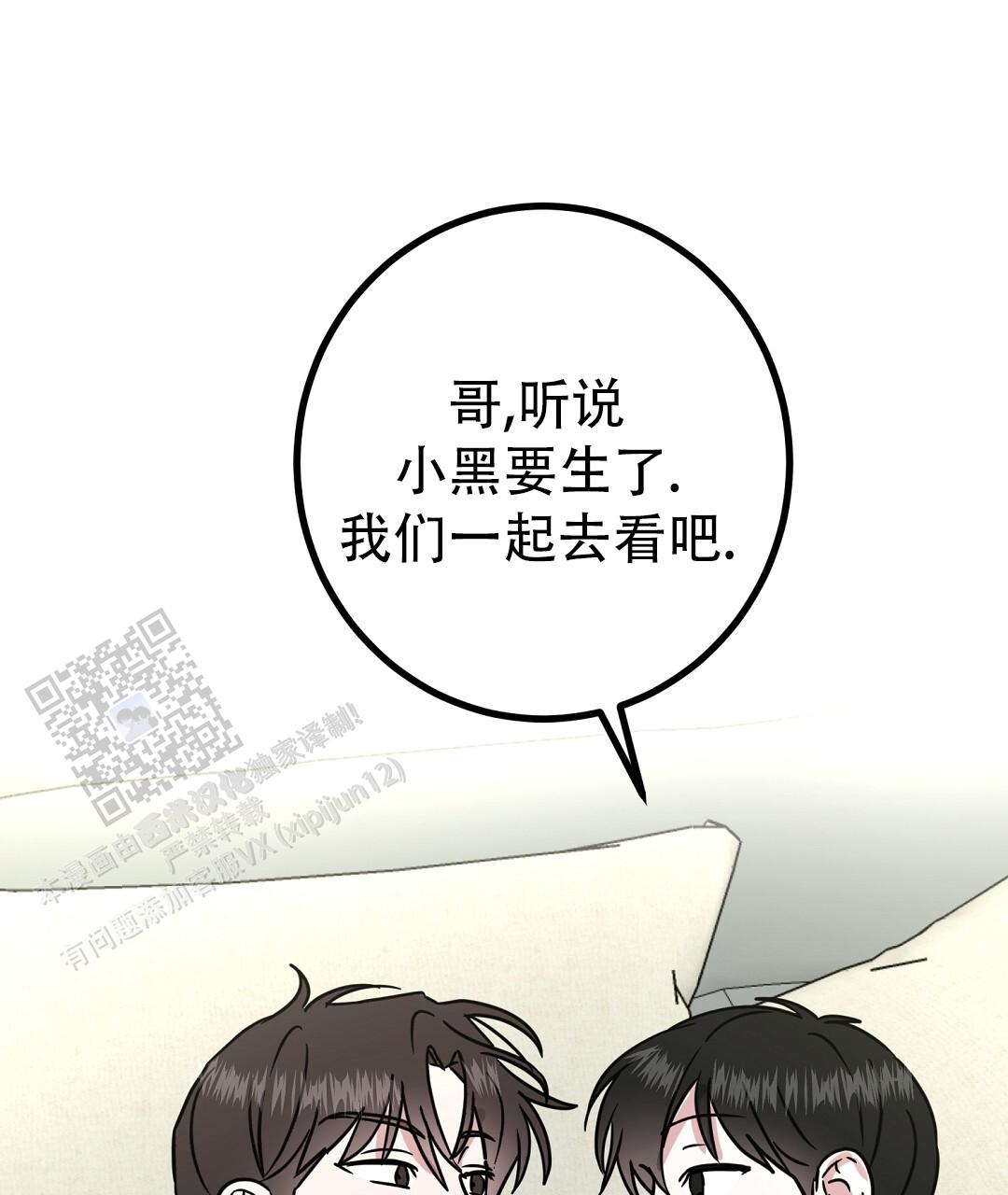 《特别节目》第21话 第41页