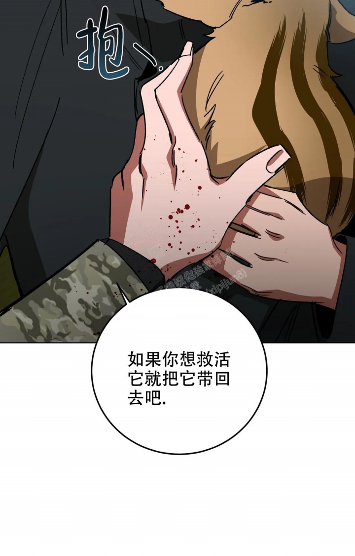 《蒙眼游戏》第117话 第20页
