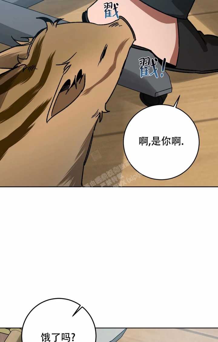 《蒙眼游戏》第120话 第5页