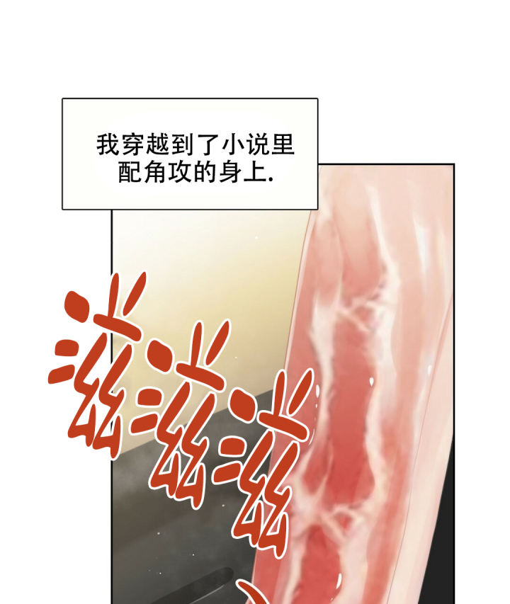 《穿进小说成配角(第二季)》第3话 第1页