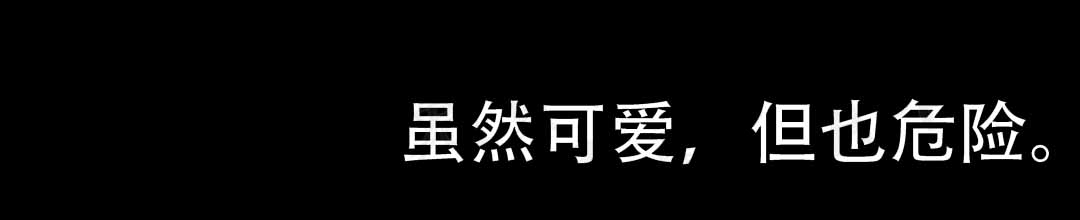 《穿进小说成配角(第二季)》第82话 第136页