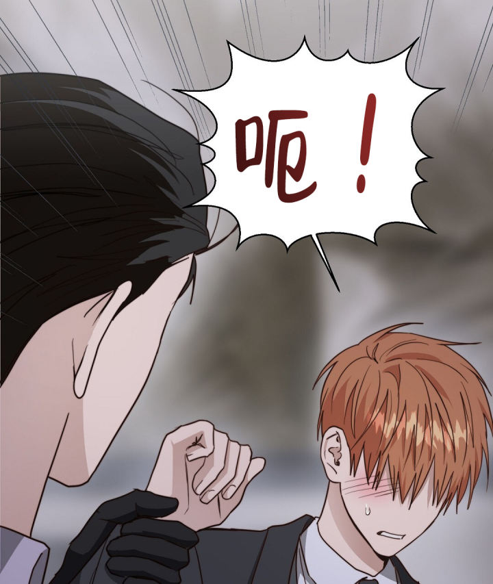 《穿进小说成配角(第二季)》第81话 第65页