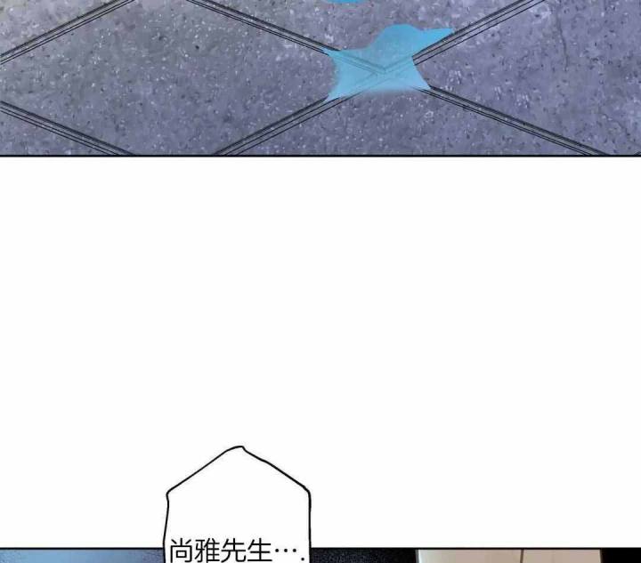《人鱼初恋》第13话 第48页