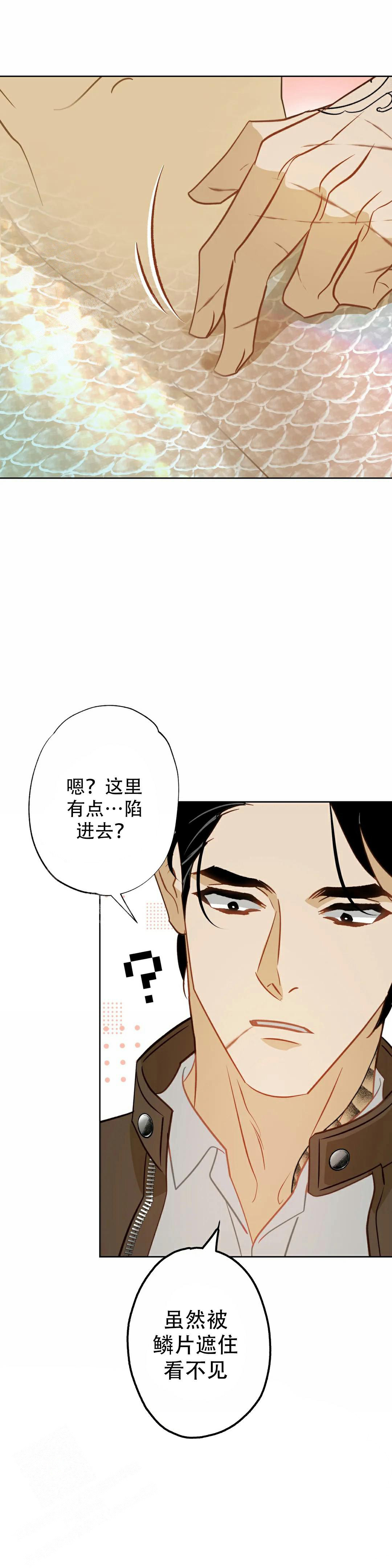 《人鱼初恋》第10话 第15页