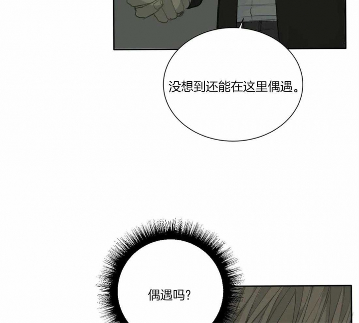 《狂犬(第二季更新)》第43话 第27页