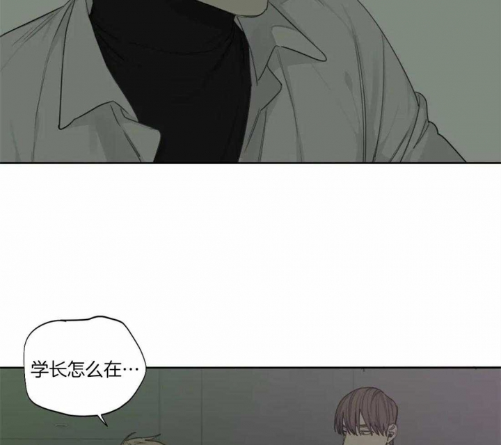 《狂犬(第二季更新)》第43话 第2页
