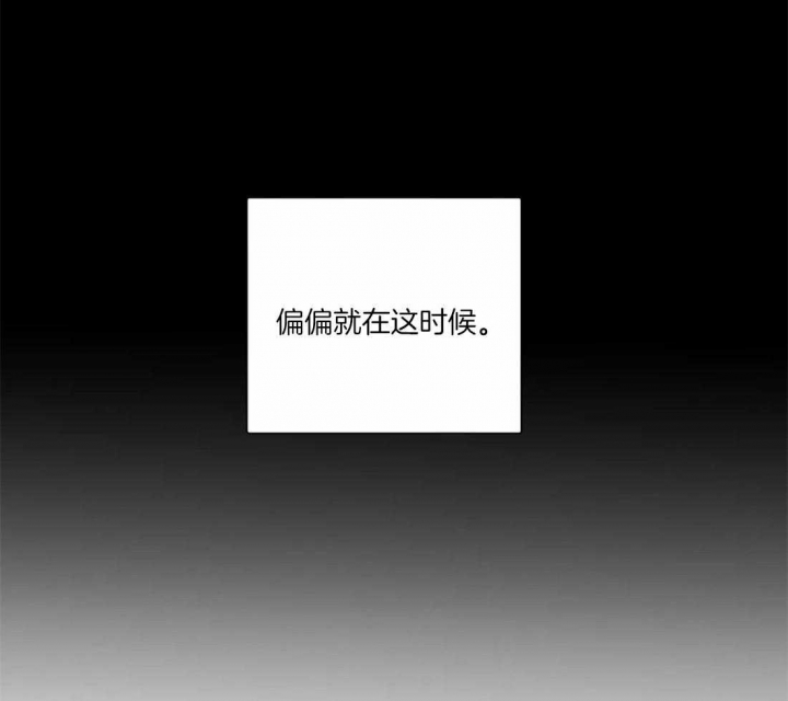 《狂犬(第二季更新)》第43话 第4页
