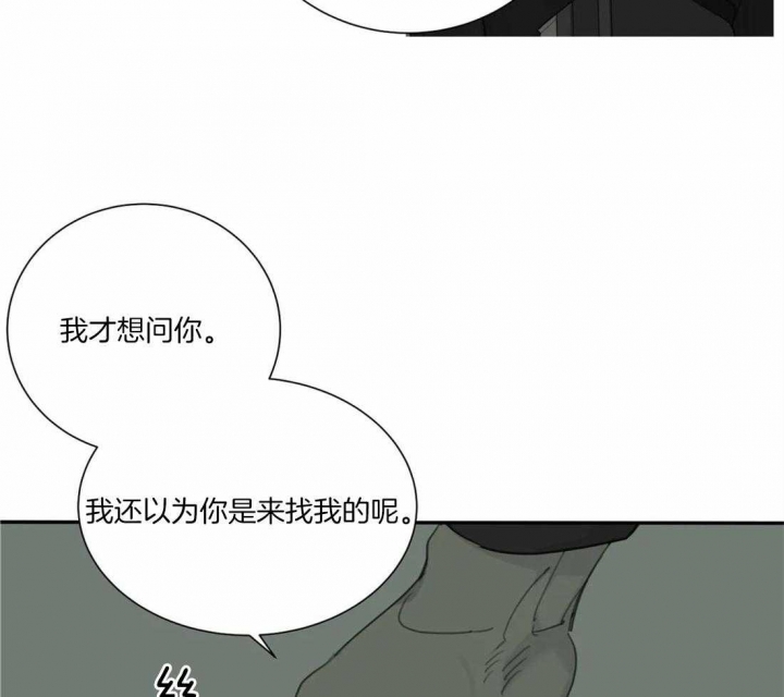 《狂犬(第二季更新)》第43话 第7页