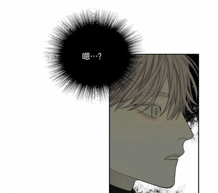 《狂犬(第二季更新)》第43话 第9页