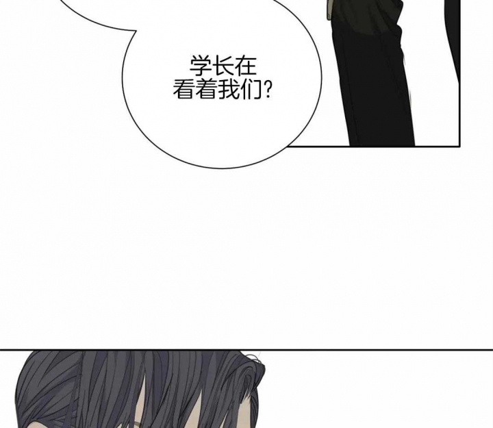 《狂犬(第二季更新)》第45话 第37页