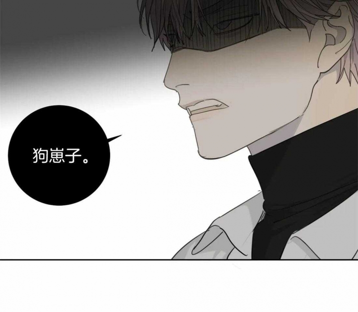 《狂犬(第二季更新)》第45话 第39页