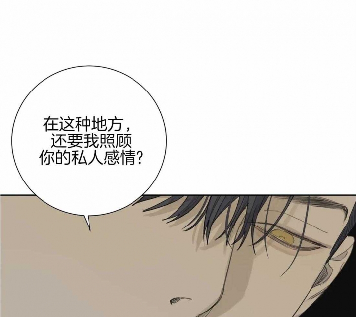 《狂犬(第二季更新)》第46话 第27页
