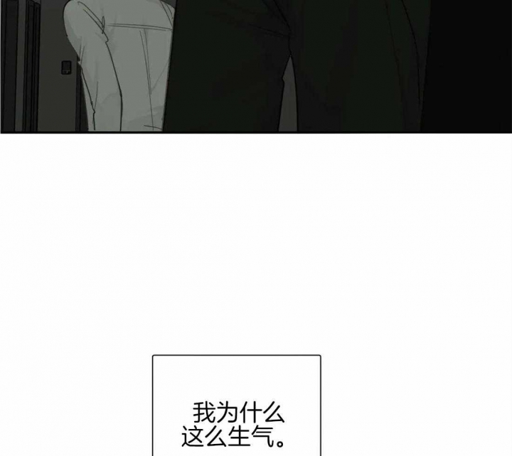 《狂犬(第二季更新)》第46话 第39页