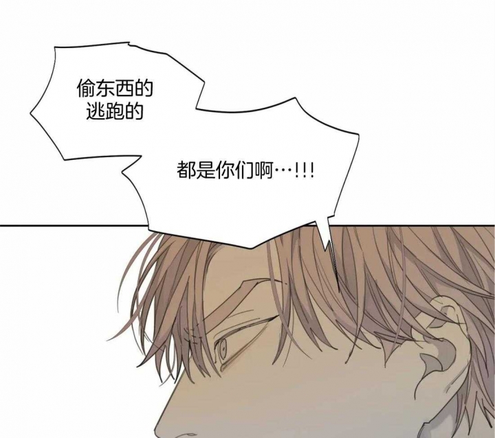 《狂犬(第二季更新)》第47话 第35页