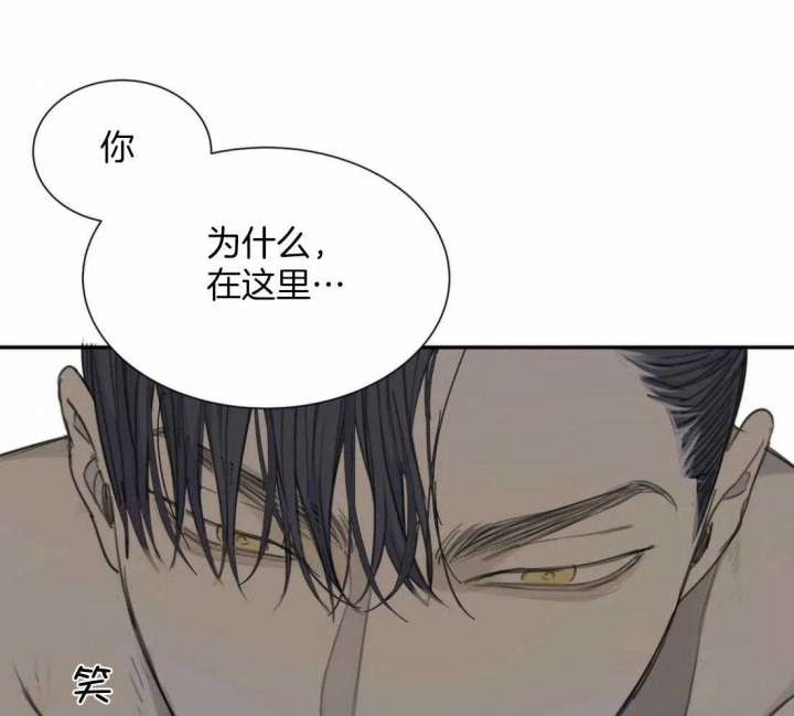 《狂犬(第二季更新)》第49话 第8页