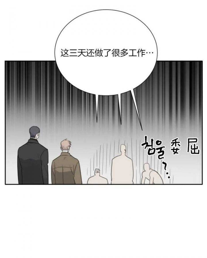 《狂犬(第二季更新)》第54话 第17页