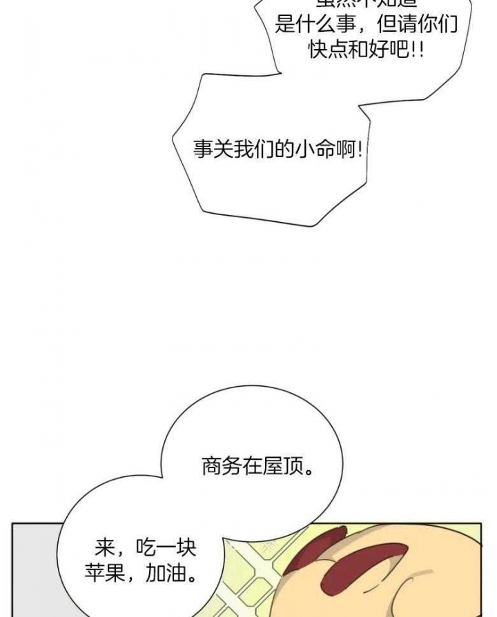 《狂犬(第二季更新)》第54话 第19页