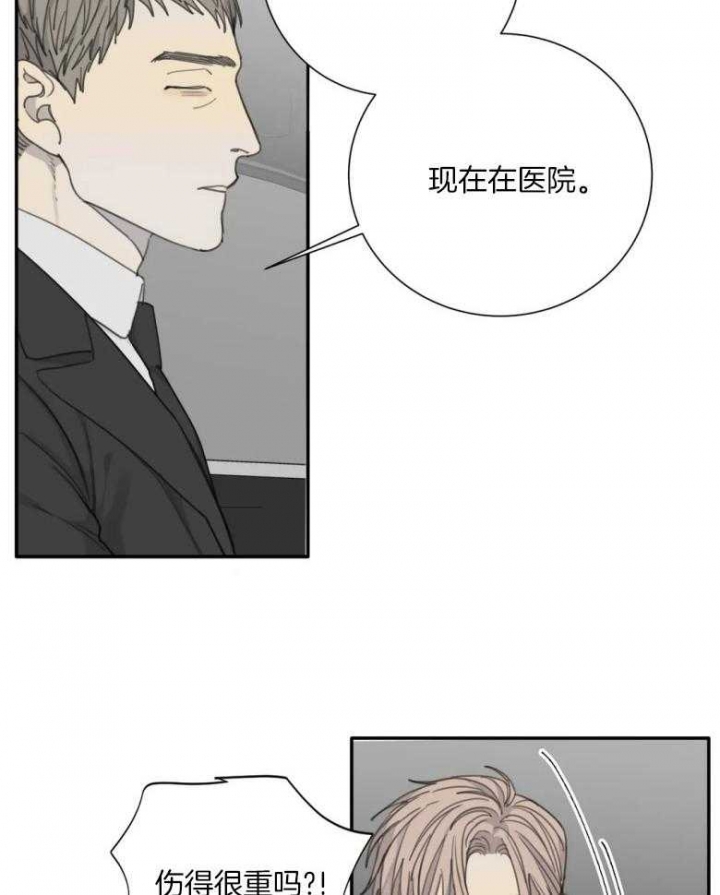《狂犬(第二季更新)》第54话 第3页