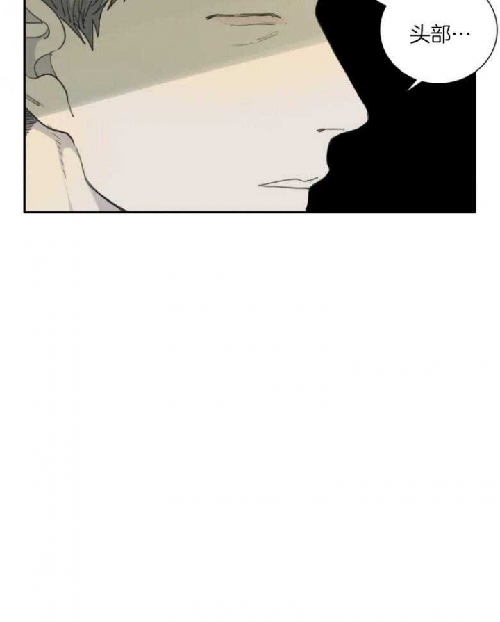 《狂犬(第二季更新)》第54话 第5页