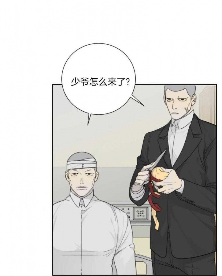 《狂犬(第二季更新)》第54话 第8页