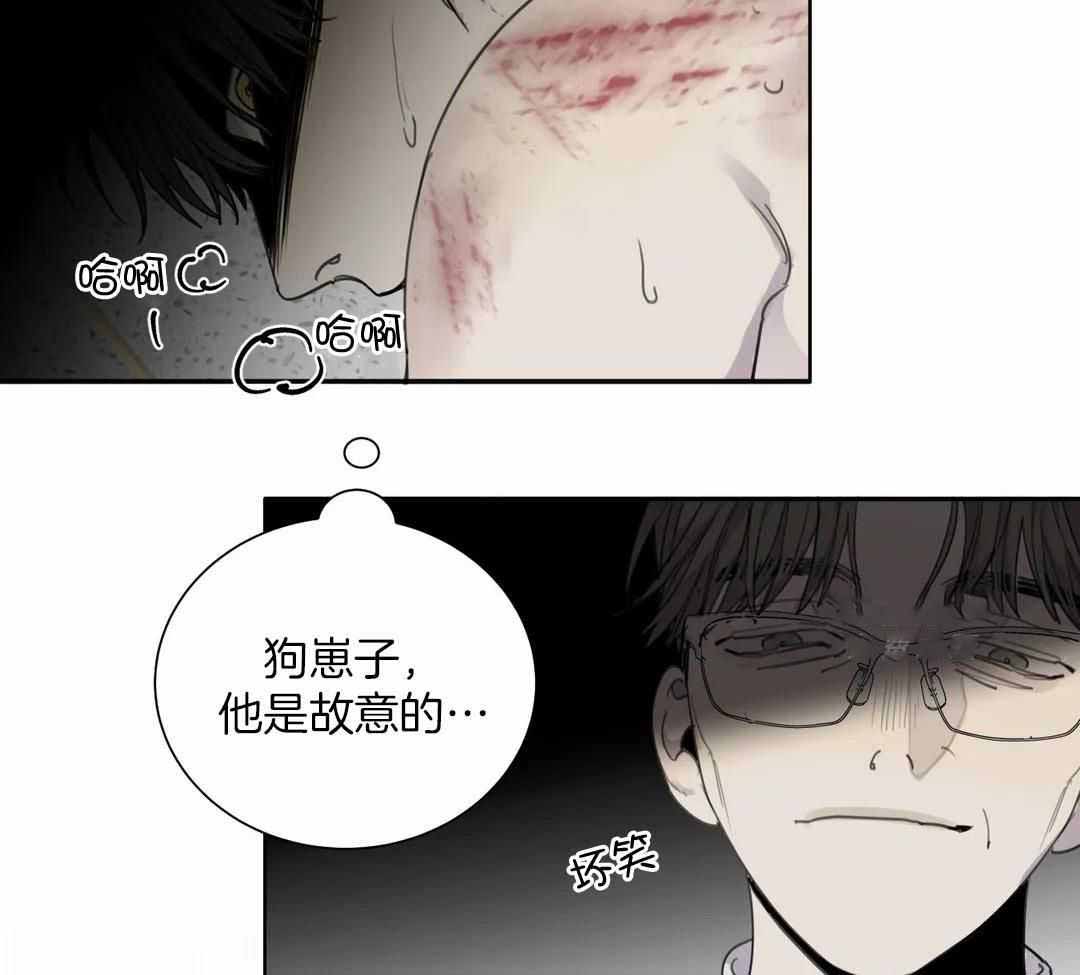 《狂犬(第二季更新)》第59话 第9页